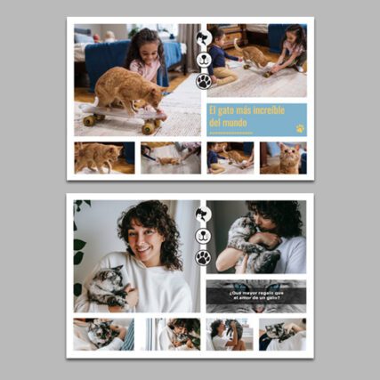 Collage  Mascotas c/ Marco 20x30 - Imagen 4