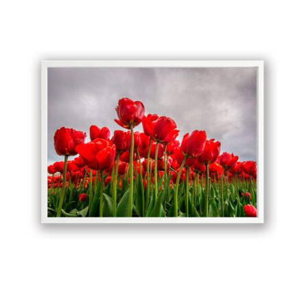 Foto decorativa con marco M35 - Imagen 3